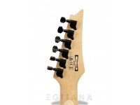 Ibanez GRGR221PA-AQB Ibanez GRGR221PA-AQB